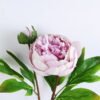 Artificial Flower 24*68CM Peony Spray*2 GVC-19-2662-Z1