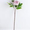Artificial Flower 24*68CM Peony Spray*2 GVC-19-2662-Z1