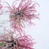 Artificial Flower 22*79CM Pohutokawa Spray*3 GS-14519034-R1