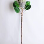 Artificial Flower 25*72CM Single Protea cynaroides GS-14519007-G1