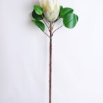 Artificial Flower 25*72CM Single Protea cynaroides GS-14519007-W1