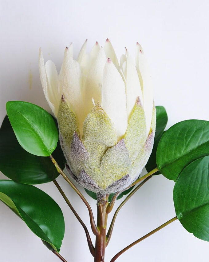 Artificial Flower 25*72CM Single Protea cynaroides GS-14519007-W1