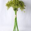 Artificial Flower 17*29cm Telosma Bush*8 GS-26219073-G1