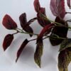 Artificial Flower 21*18*66cm perilla leaf spray*3/LVS GS-29819007