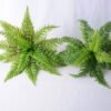 Artificial Plant 34*33*28cm Fern?Bush*15 GS-39019004