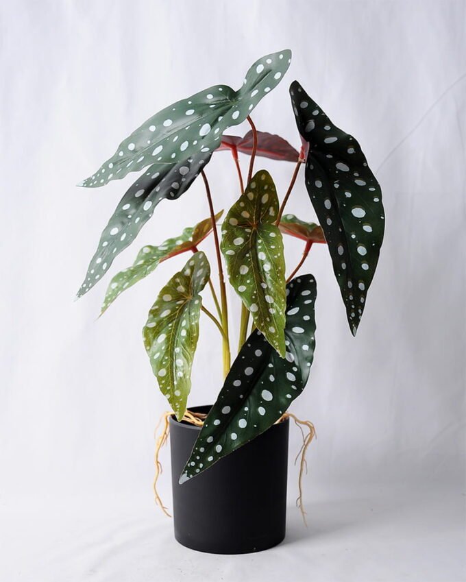 Artificial Plant 30*26*46CM Leaves in plastic pot/lvs9 GDP-19-004