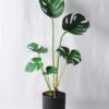 Artificial Plant 34*26*45CM Monstera in plastic pot/lvs6 GDP-19-002