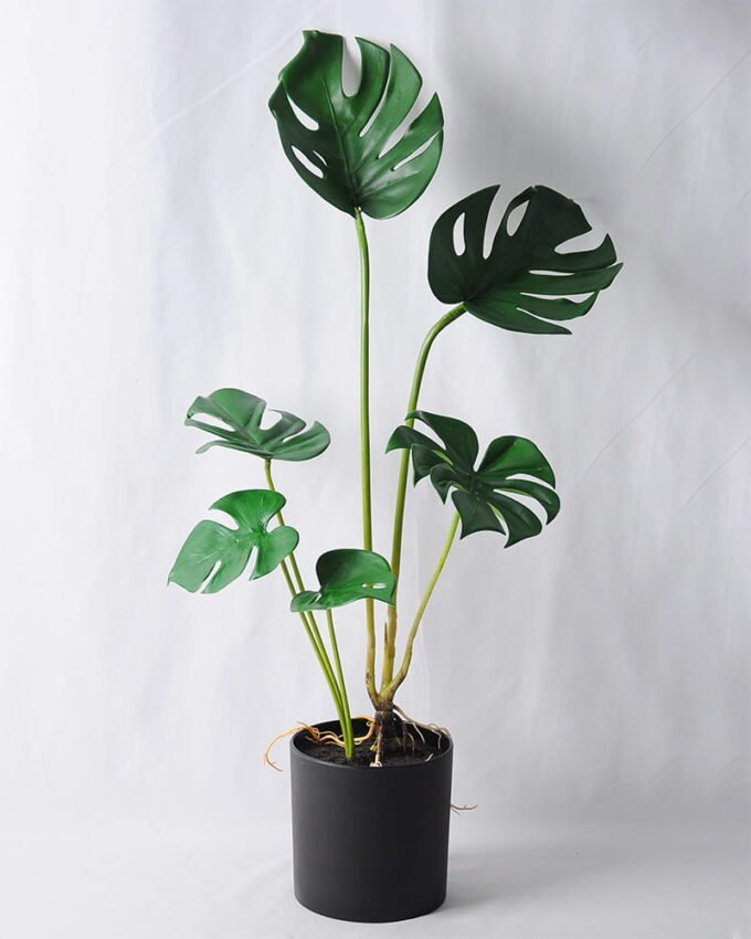 Artificial Plant 34*26*45CM Monstera in plastic pot/lvs6 GDP-19-002