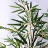Artificial Tree 62*56*101CM Bamboo tree in the plastic pot/lvs375 GS-30419039