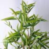Artificial Tree 48*52*101CM Bamboo tree in the plastic pot/lvs288 GS-30419040