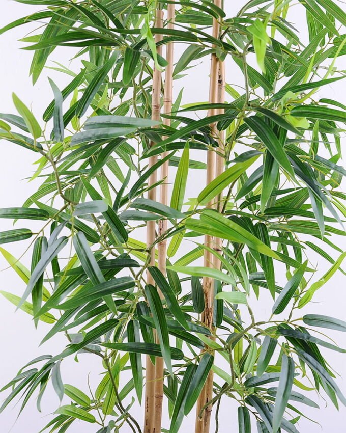 Artificial Tree 63*75*155CM Bamboo tree in the plastic pot/LVS768 GS-30419059