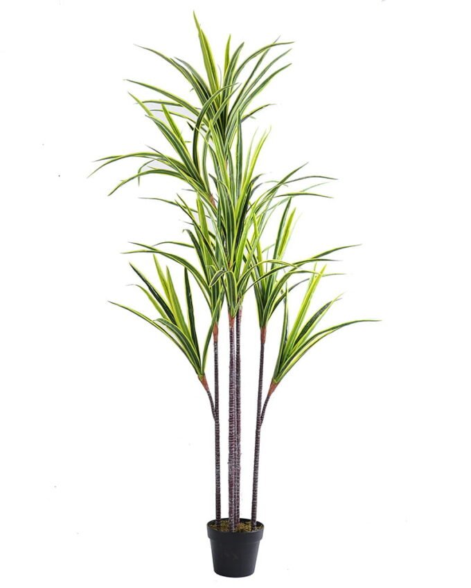 Artificial Tree 79*80*175CM Cycas*3 GS-56519005-G1