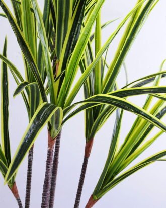 Artificial Tree 79*80*175CM Cycas*3 GS-56519005-G1