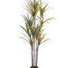 Artificial Tree 79*80*175CM Cycas*3 GS-56519005-G2