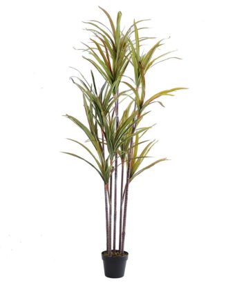 Artificial Tree 79*80*175CM Cycas*3 GS-56519005-G2