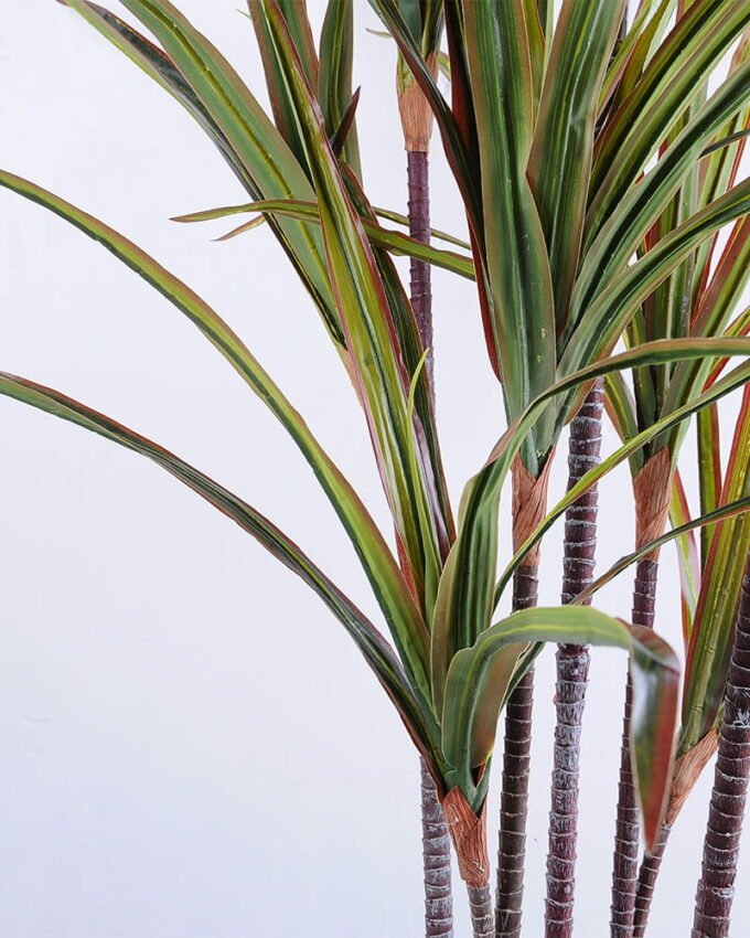 Artificial Tree 79*80*175CM Cycas*3 GS-56519005-G2