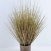 Artificial Tree 43*45*61CM Grass in plastic pot GS-29419079 2 Artificial Tree 43*45*61CM Grass in plastic pot GS-29419079