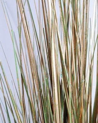 Artificial Tree 37*37*117CM Grass in plastic pot GS-29419086 Tree&Plant YeahFlower is one of Chinese leading OEM manufacturers and exporters , supplying the silk flowers, wholesale artificial trees Artificial Tree 37*37*117CM Grass in plastic pot GS-29419086