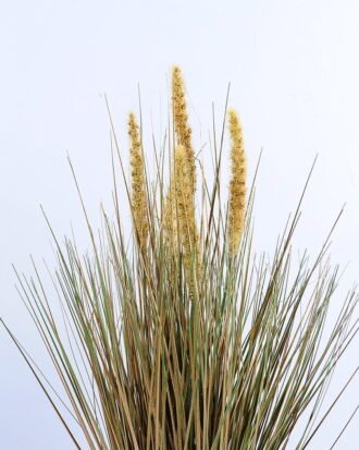 Artificial Tree 33*34*56CM Grass in plastic pot GS-29419096