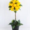 Artificial Tree 22*21*51cm Lemon tree in plastic pot GS-03919035
