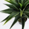 Artificial Tree 66*68*56CM Potted Tree GS-56519004