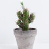 Artificial succulent 9.5*9.5*18CM Cactus In Paper Pot GS-38919008
