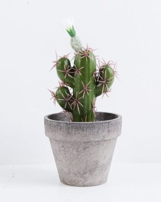 Artificial succulent 9.5*9.5*18CM Cactus In Paper Pot GS-38919008 Succulent YeahFlower is one of Chinese leading OEM manufacturers and exporters , supplying the silk flowers, wholesale artificial trees Artificial succulent 9.5*9.5*18CM Cactus In Paper Pot GS-38919008