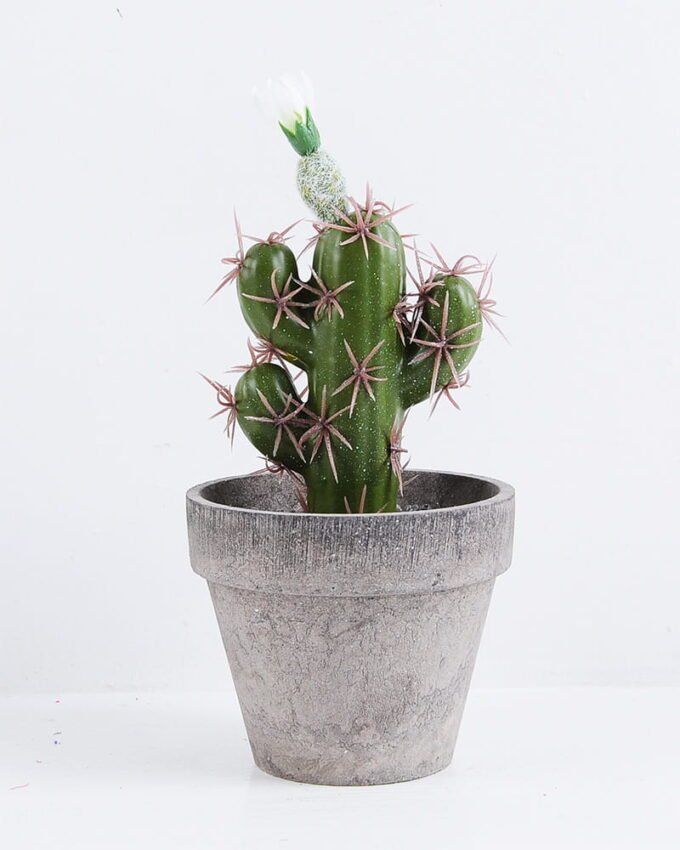 Artificial succulent 9.5*9.5*18CM Cactus In Paper Pot GS-38919008