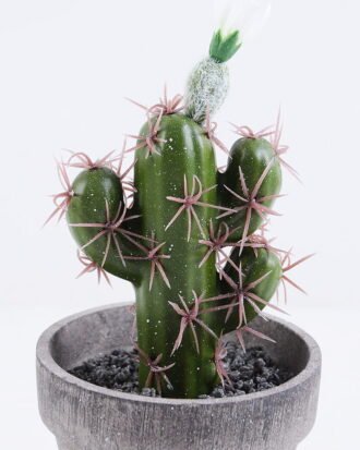 Artificial succulent 9.5*9.5*18CM Cactus In Paper Pot GS-38919008 Succulent YeahFlower is one of Chinese leading OEM manufacturers and exporters , supplying the silk flowers, wholesale artificial trees Artificial succulent 9.5*9.5*18CM Cactus In Paper Pot GS-38919008