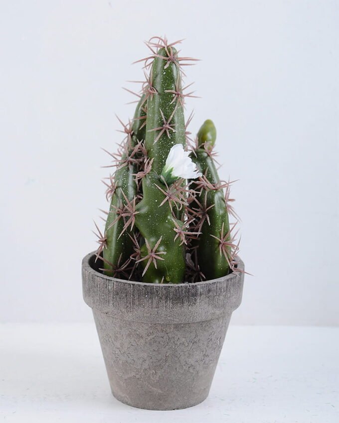 Artificial succulent 16*18*40CM Cactus In Paper Pot GS-38919024
