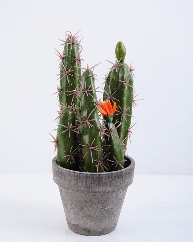 Artificial succulent 9.5*10*20CM Cactus In Paper Pot GS-38919026