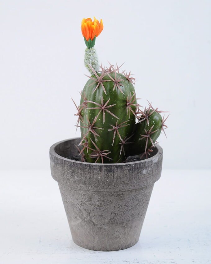 Artificial succulent 9.5*10*21CM Cactus In Paper Pot GS-38919027