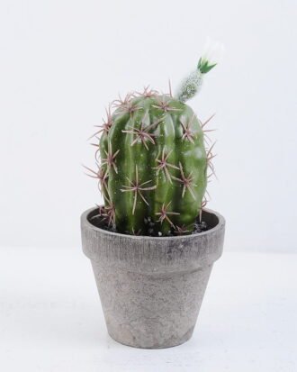 Artificial succulent 9.5*10*21CM Cactus In Paper Pot GS-38919027