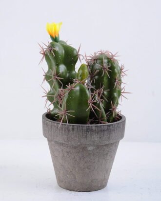 Artificial succulent 9.5*9.5*19CM Cactus In Paper Pot GS-38919028