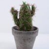 Artificial succulent 9.5*9.5*18CM Cactus In Paper Pot GS-38919030