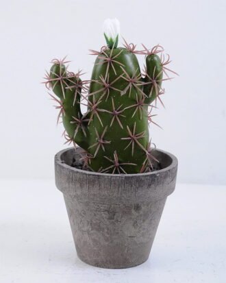 Artificial succulent 9.5*9.5*18CM Cactus In Paper Pot GS-38919030