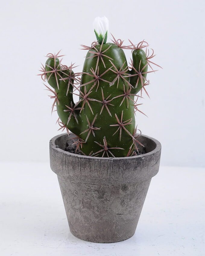 Artificial succulent 9.5*9.5*18CM Cactus In Paper Pot GS-38919030
