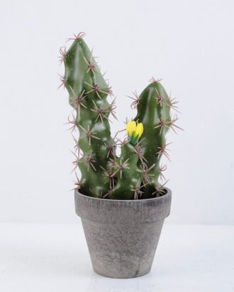 Artificial succulent 9.5*9.5*17.5CM Cactus In Paper Pot GS-38919031