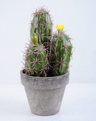 Artificial succulent 9.5*9.5*19CM Cactus In Paper Pot GS-38919033