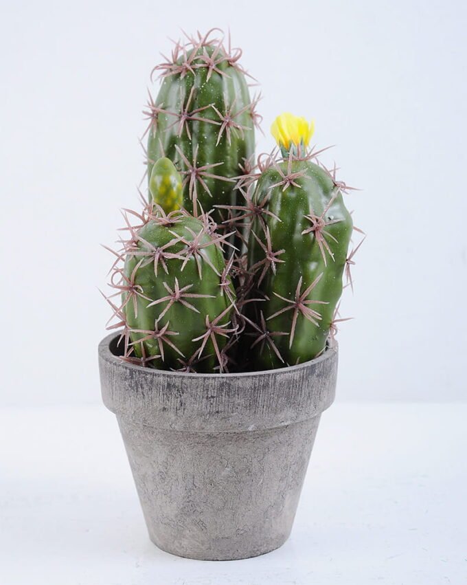 Artificial succulent 9.5*9.5*19CM Cactus In Paper Pot GS-38919033