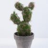 Artificial succulent 9.5*9.5*18.5CM Cactus In Paper Pot GS-38919034