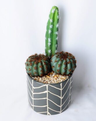 Artificial succulent 12.5*11.5*25.5CM Cactus in ceramic pot GS-45219129