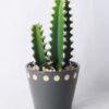 Artificial succulent 12.5*11.5*25.5CM Cactus in ceramic pot GS-45219129