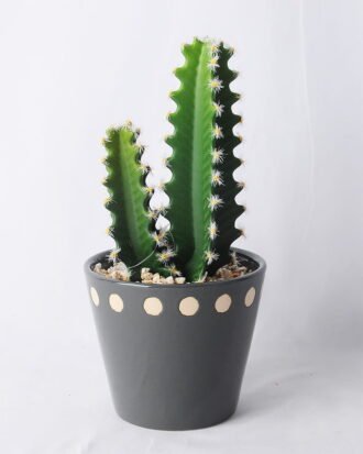 Artificial succulent 12.5*11.5*25.5CM Cactus in ceramic pot GS-45219129