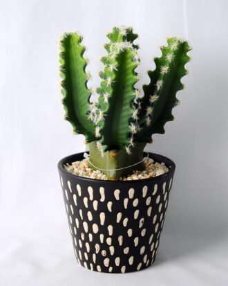 Artificial succulent 12*12*21CM Cactus in ceramic pot GS-45219130 Succulent YeahFlower is one of Chinese leading OEM manufacturers and exporters , supplying the silk flowers, wholesale artificial trees Artificial succulent 12*12*21CM Cactus in ceramic pot GS-45219130