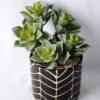 Artificial succulent 12*12*21CM Cactus in ceramic pot GS-45219130