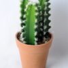Artificial succulent 9.5*9.5*22CM Cactus in plastic pot GS-45219144