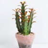 Artificial succulent 15*13*26CM Cactus in plastic pot GS-45219150