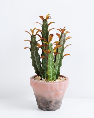 Artificial succulent 15*13*26CM Cactus in plastic pot GS-45219150 Succulent YeahFlower is one of Chinese leading OEM manufacturers and exporters , supplying the silk flowers, wholesale artificial trees Artificial succulent 15*13*26CM Cactus in plastic pot GS-45219150