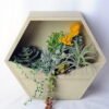 Artificial succulent 30 Artificial succulent 30.5*10*38CM Succulent garden with wooden pot GS-45219146